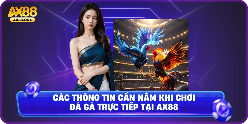 Các thông tin cần nắm khi chơi trực tiếp đá gà online tại ax88