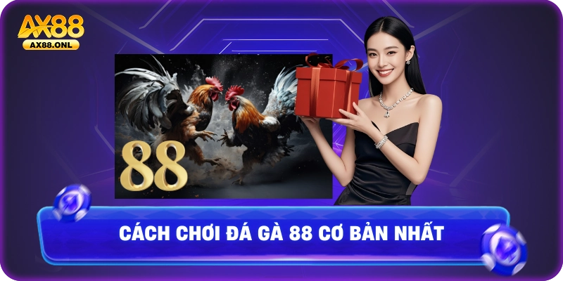 Cách chơi đá gà 88 cơ bản nhất