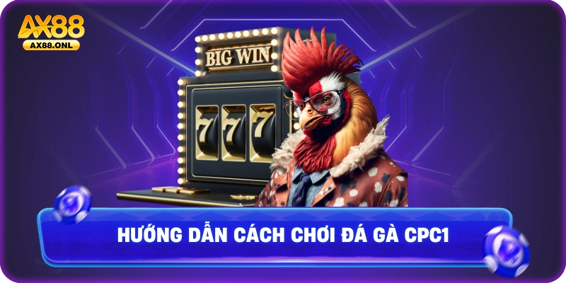 Hướng dẫn cách chơi đá gà CPC1
