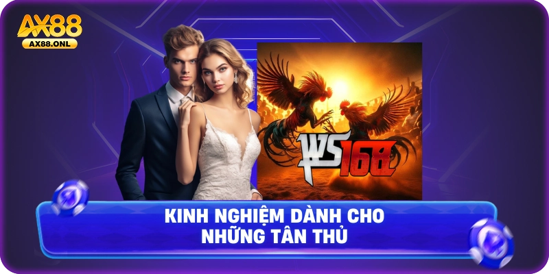 Kinh nghiệm dành cho những tân thủ