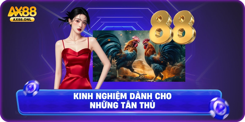 Kinh nghiệm dành cho những tân thủ