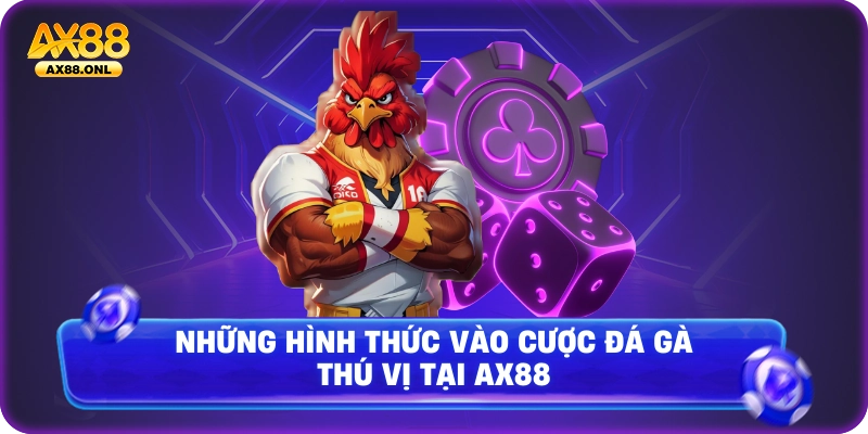 Những hình thức vào cược đá gà thú vị tại Ax88