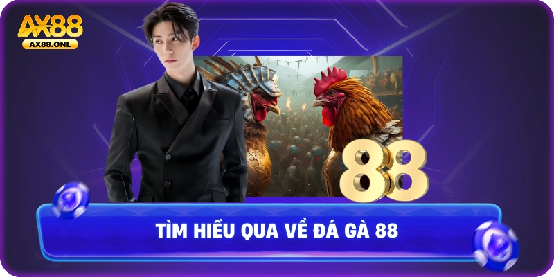 Tìm hiểu qua về đá gà 88