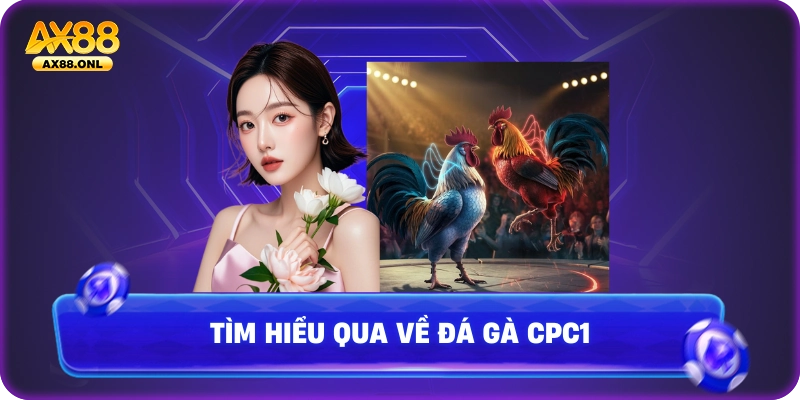 Tìm hiểu qua về đá gà CPC1