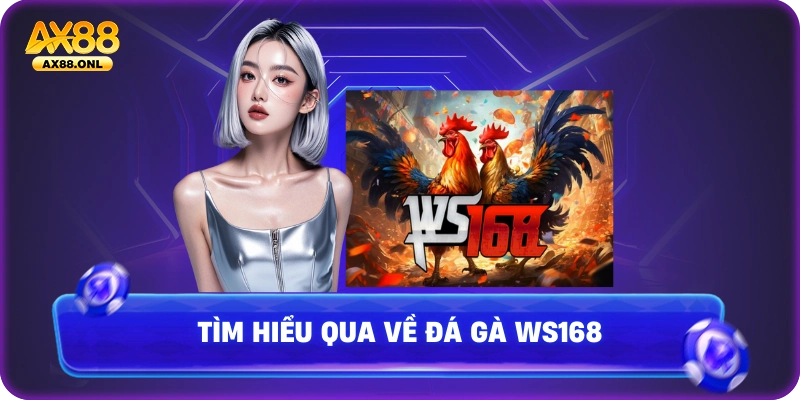 Tìm hiểu qua về đá gà ws168