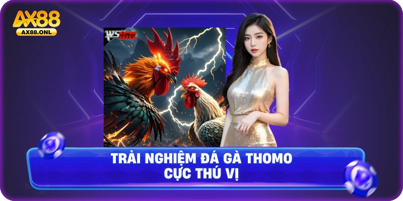 Trải nghiệm đá gà Thomo cực thú vị
